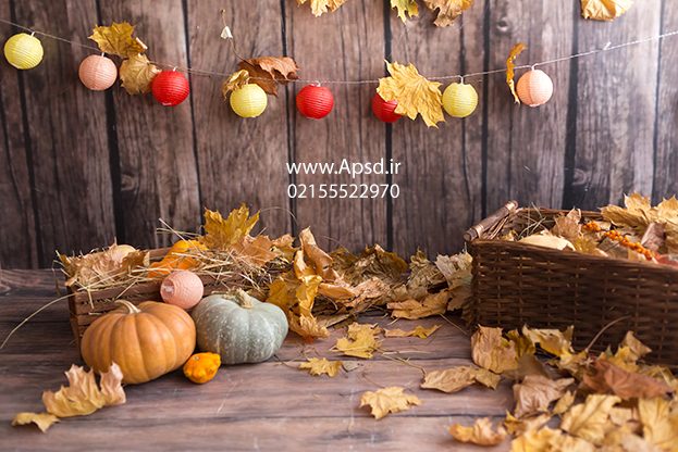 دانلود بکگراند پاییز