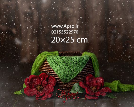 دانلود فون نوزاد زمستانی