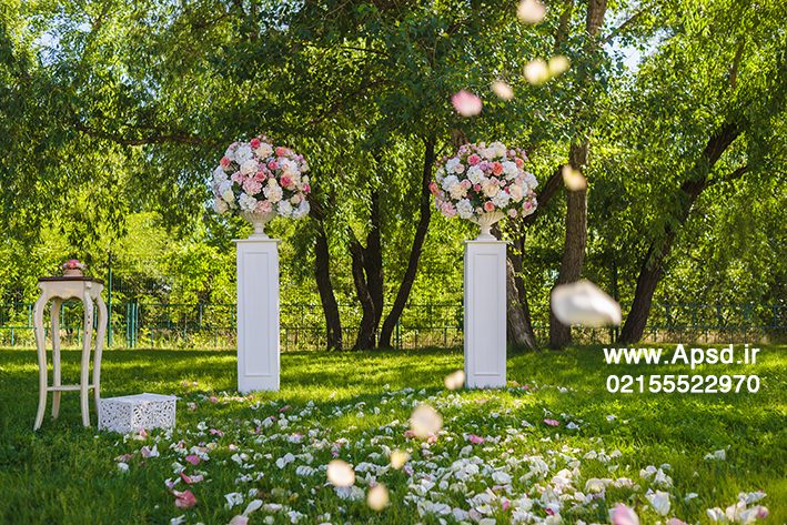 دانلود بکگراند باغ عروس و داماد
