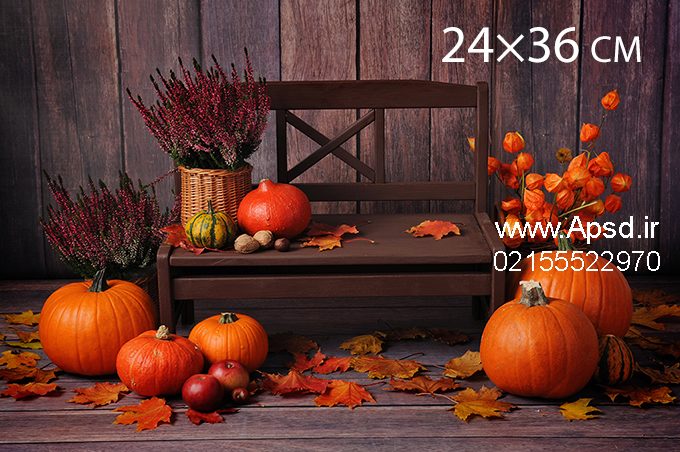 فون آتلیه پاییز
