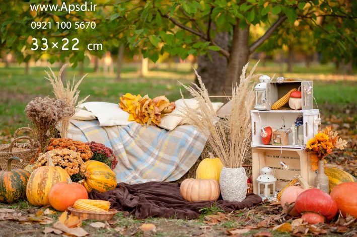 دانلود بکگراند پاییز